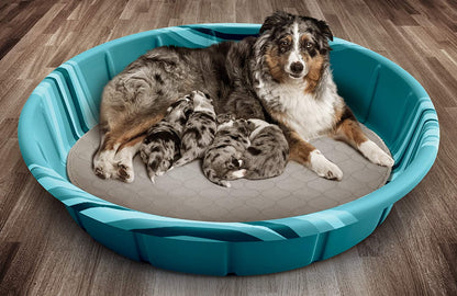 Pawtect Pads Washable Dog Pee Pads (2Pack) of Premium Pee Pads for Dogs, Waterproof Training Pads for Dogs & Reusable Dog Pee Pads! Whelping Pads & Modern Puppy Pads!