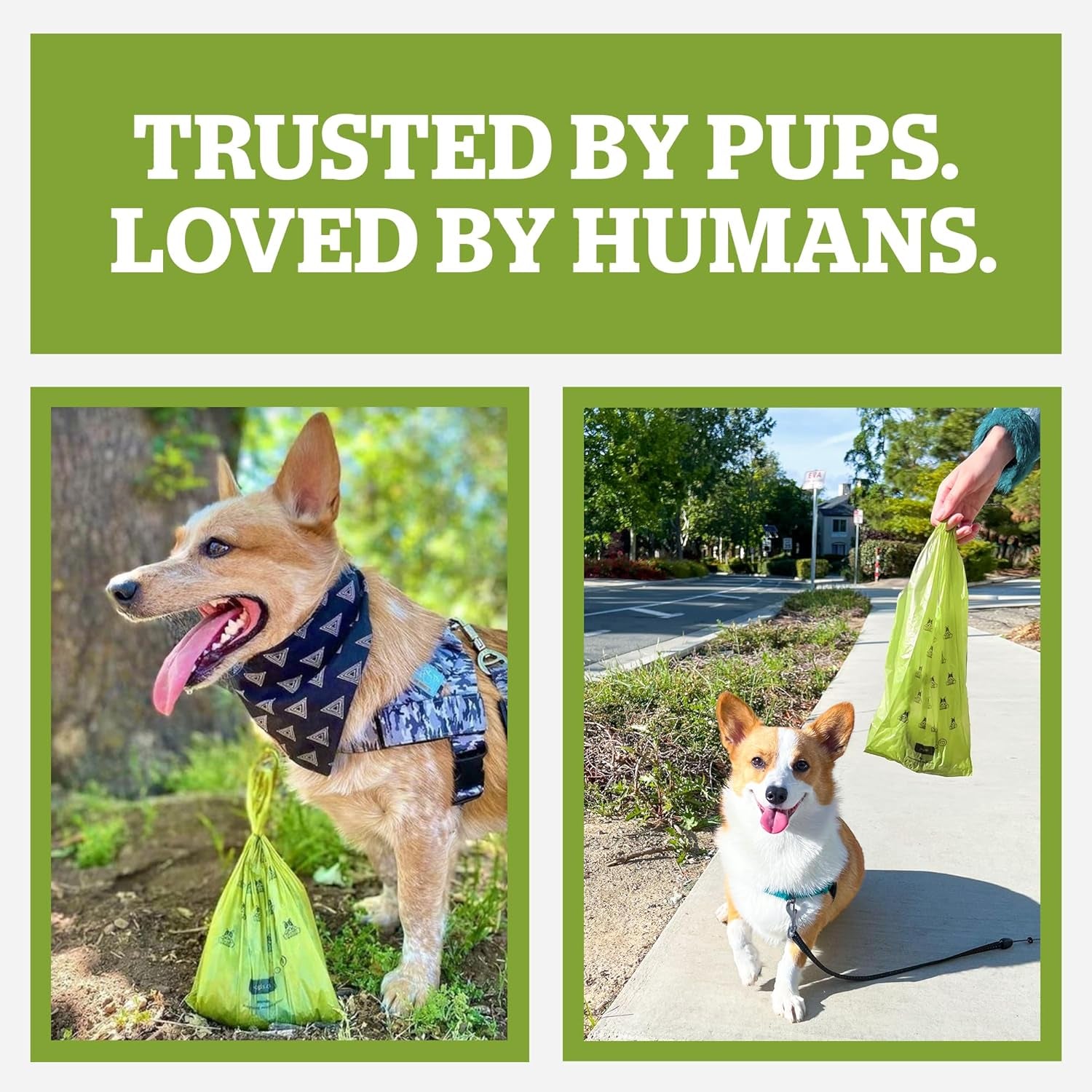 Pogi'S Dog Poop Bags with Handles Bulk - 900 Doggy Poop Bags with Easy-Tie Handles - Leak-Proof, Ultra Thick, Scented Poop Bags for Dogs, Cat Poop Bags